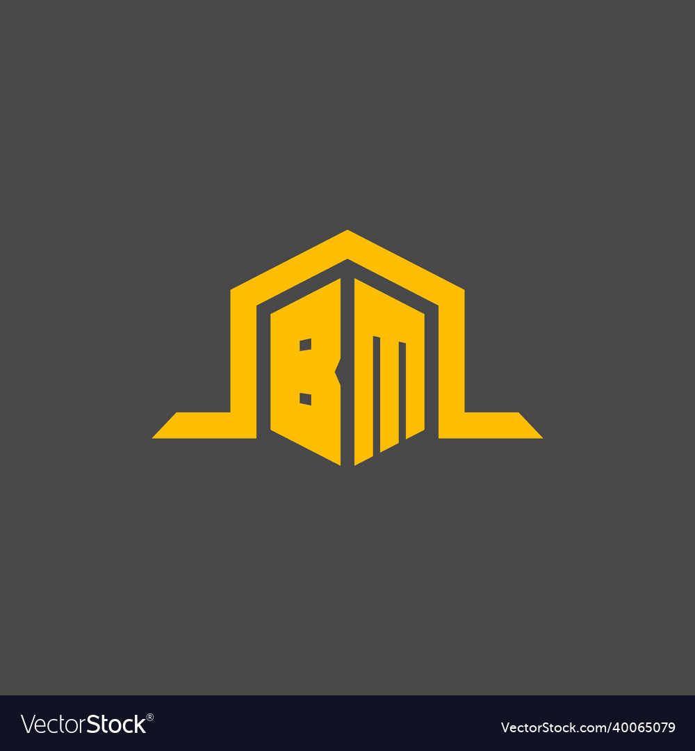Bm monogram initial logo with hexagon style design