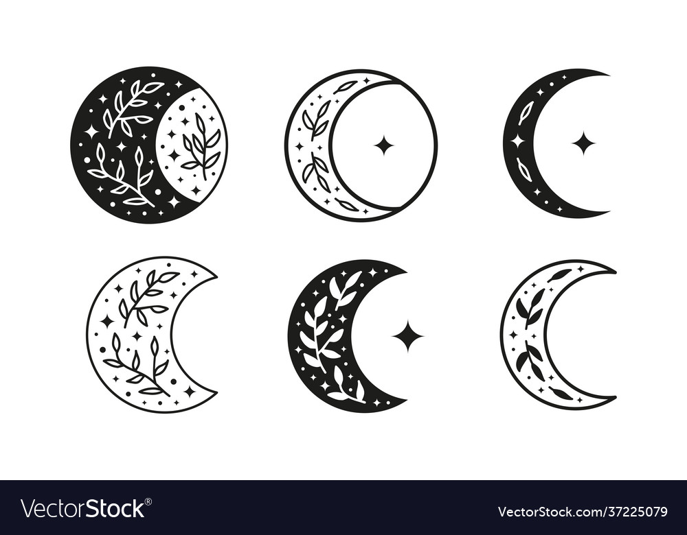 Set boho floral moon with leafy branches