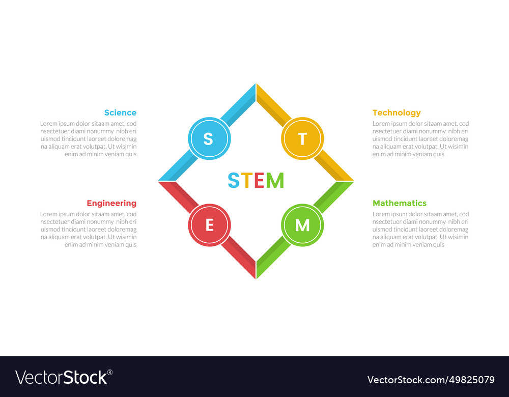 Stem education infographics template diagram with Vector Image