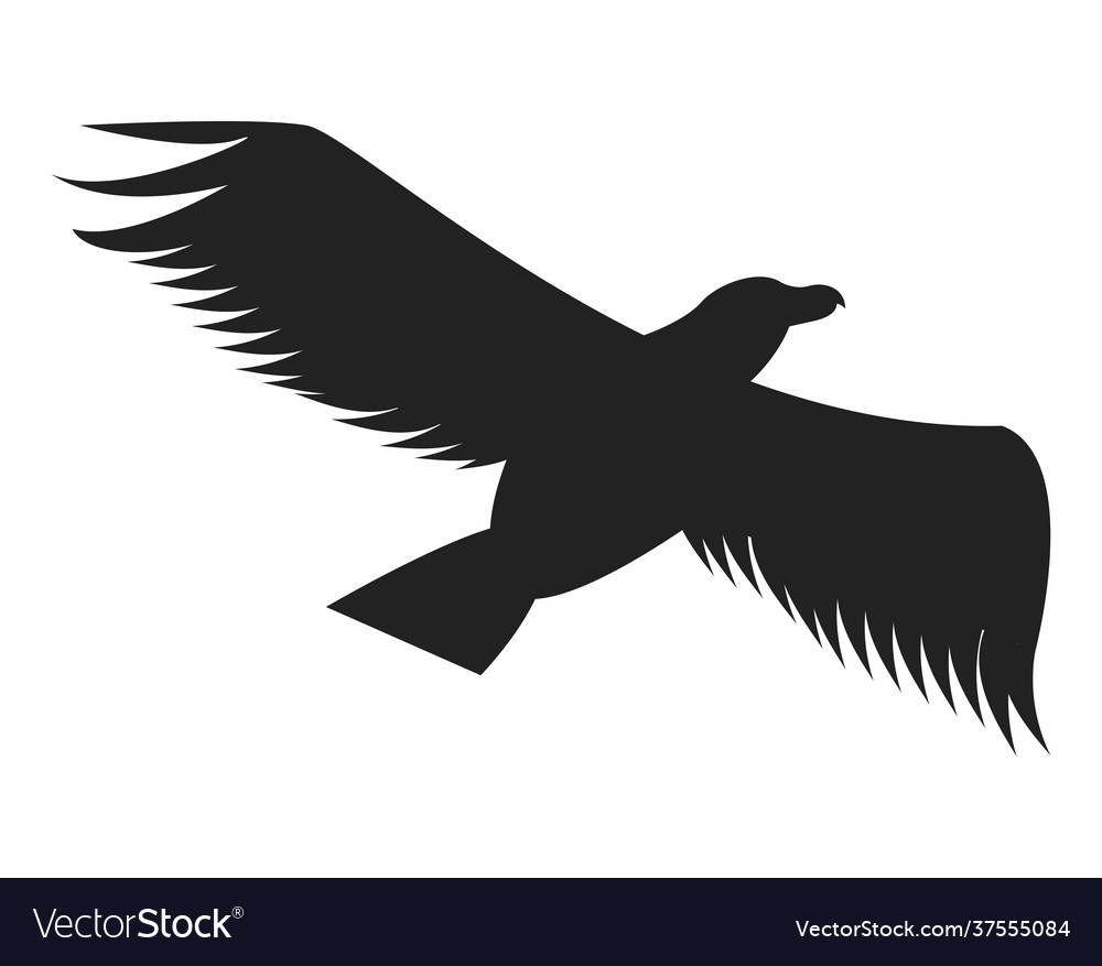 Eagle flying silhouette Royalty Free Vector Image