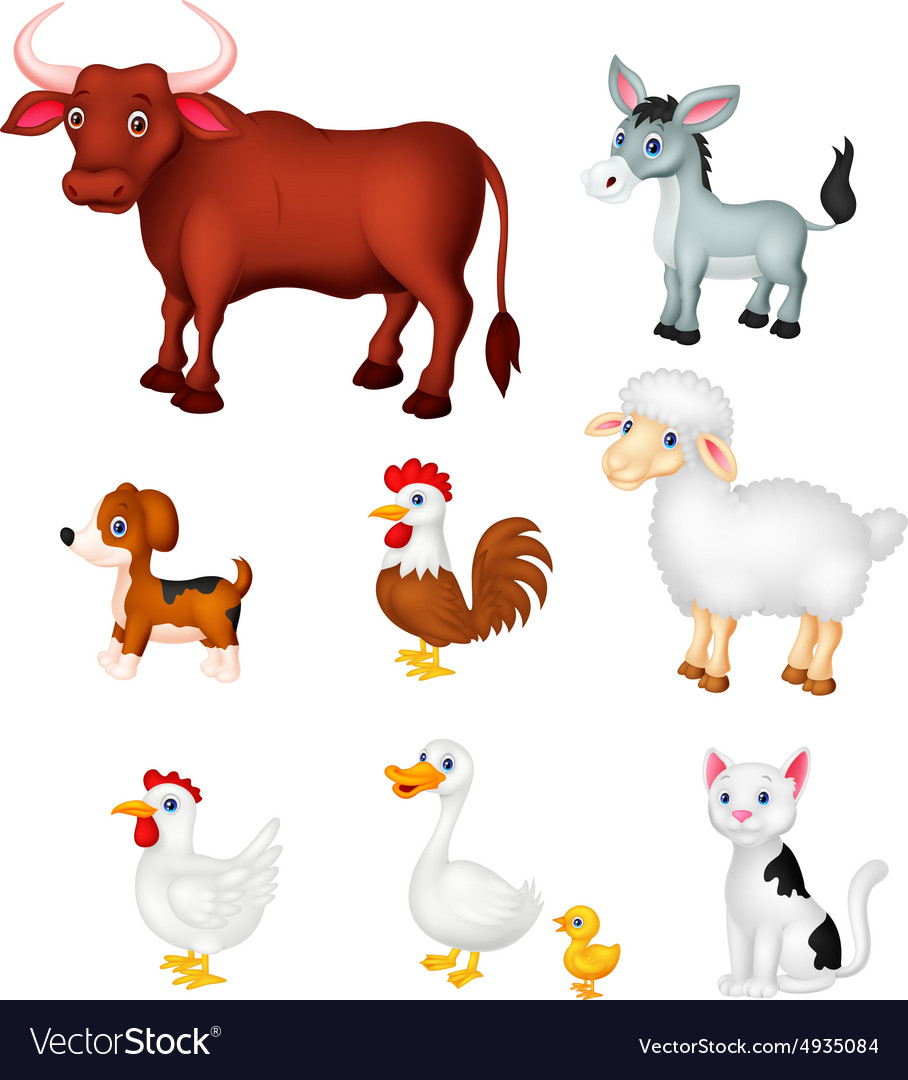 Farm animal collection set Royalty Free Vector Image