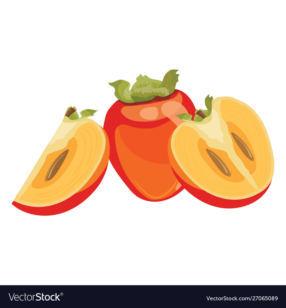 Cartoon persimmon fresh vitamin fruit juicy