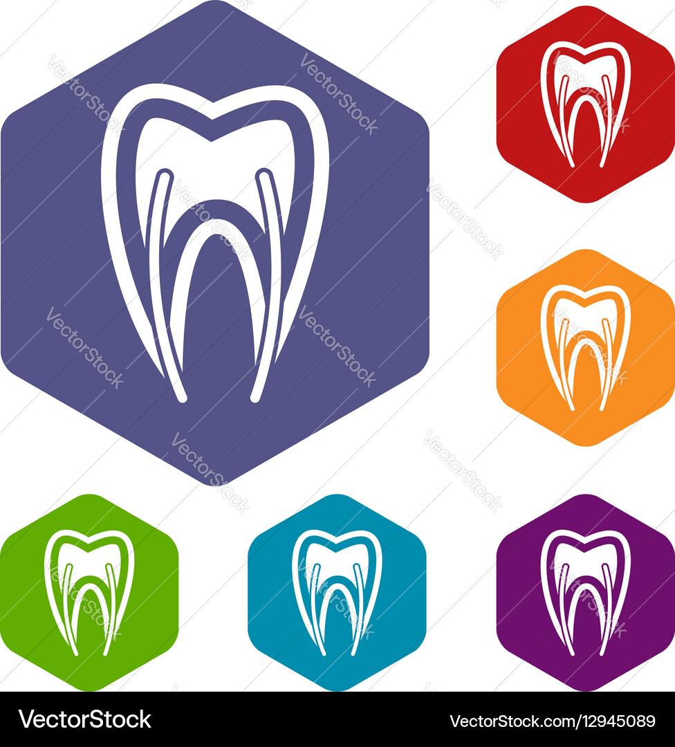 Tooth cross section icons set Royalty Free Vector Image
