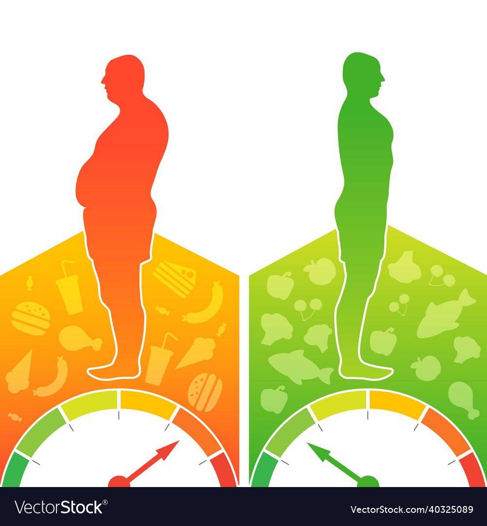 Weight loss concept body mass index bmi before Vector Image