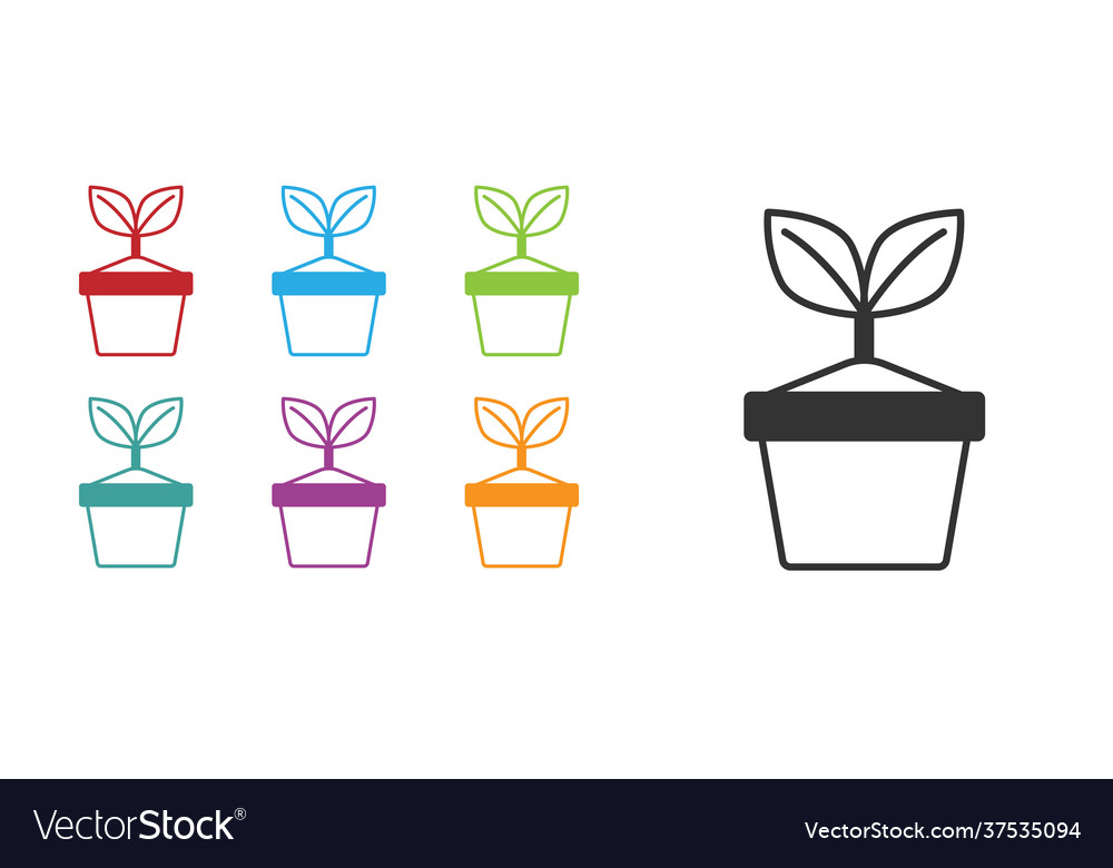 Black plant in pot icon isolated on white