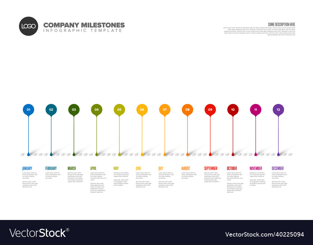 Infographic Full Year Timeline Template Made From Vector Image