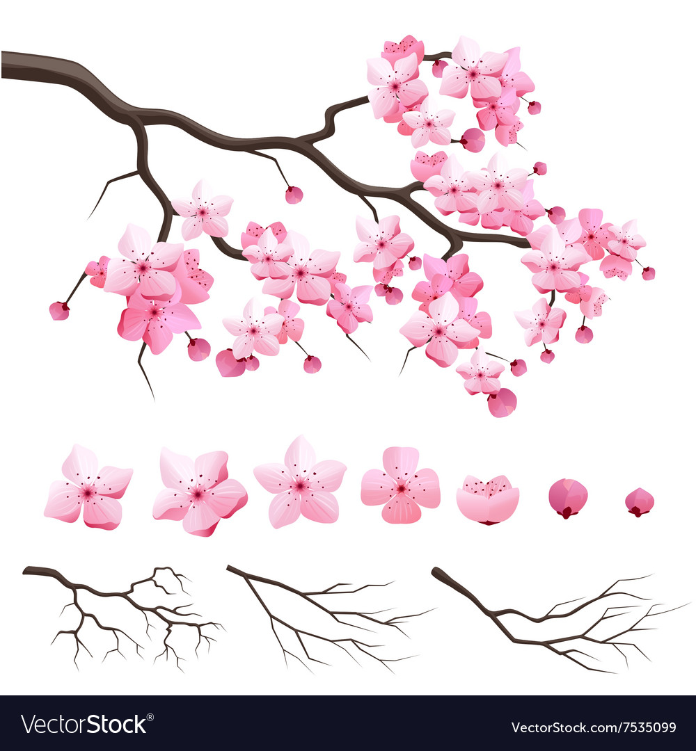 Japanese Flower Vector