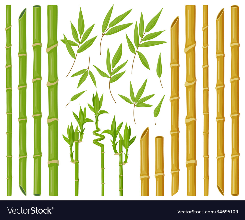 Cartoon bamboo plants asian bamboo stems stalks Vector Image