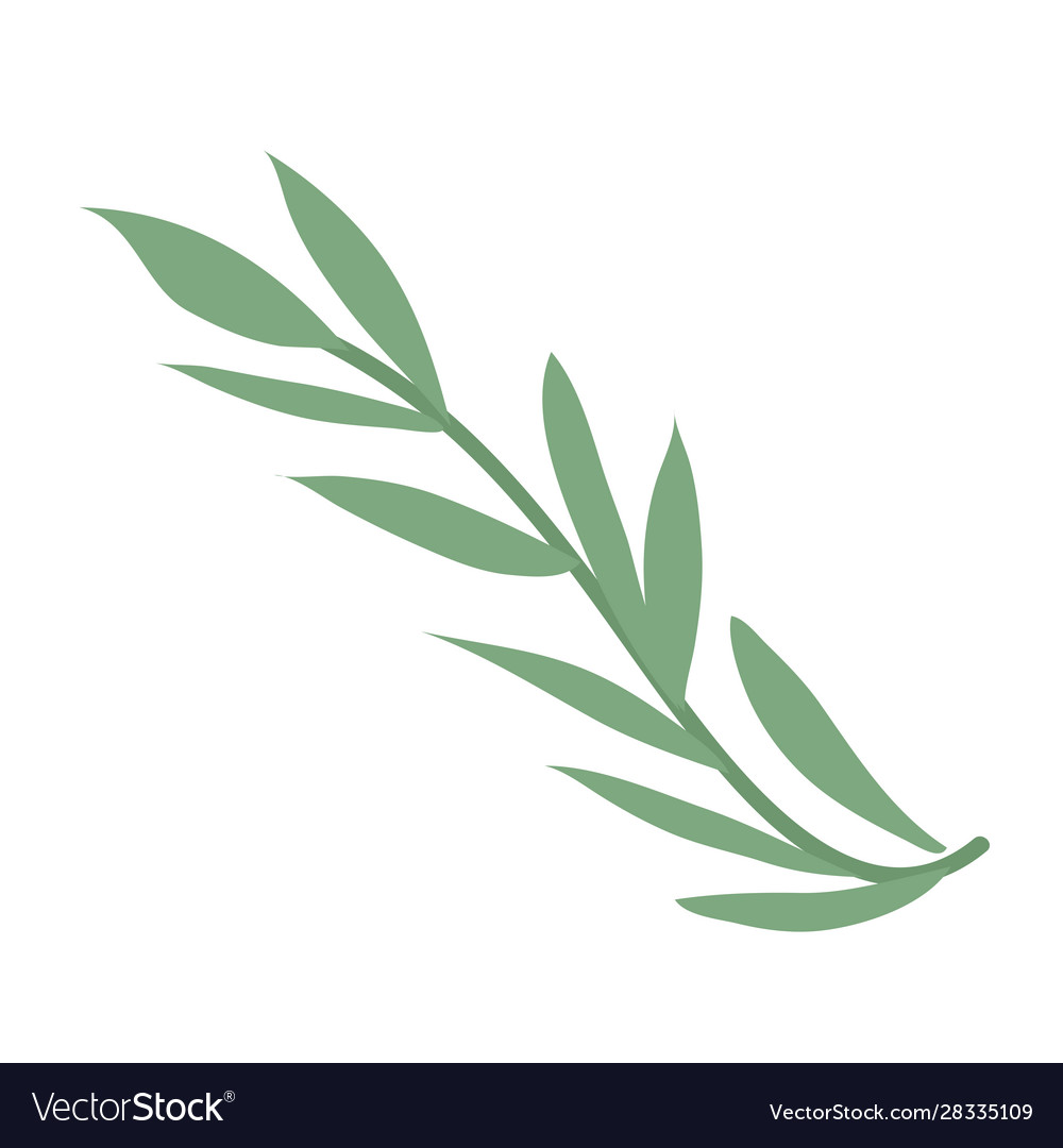 Isolated green leaf icon design