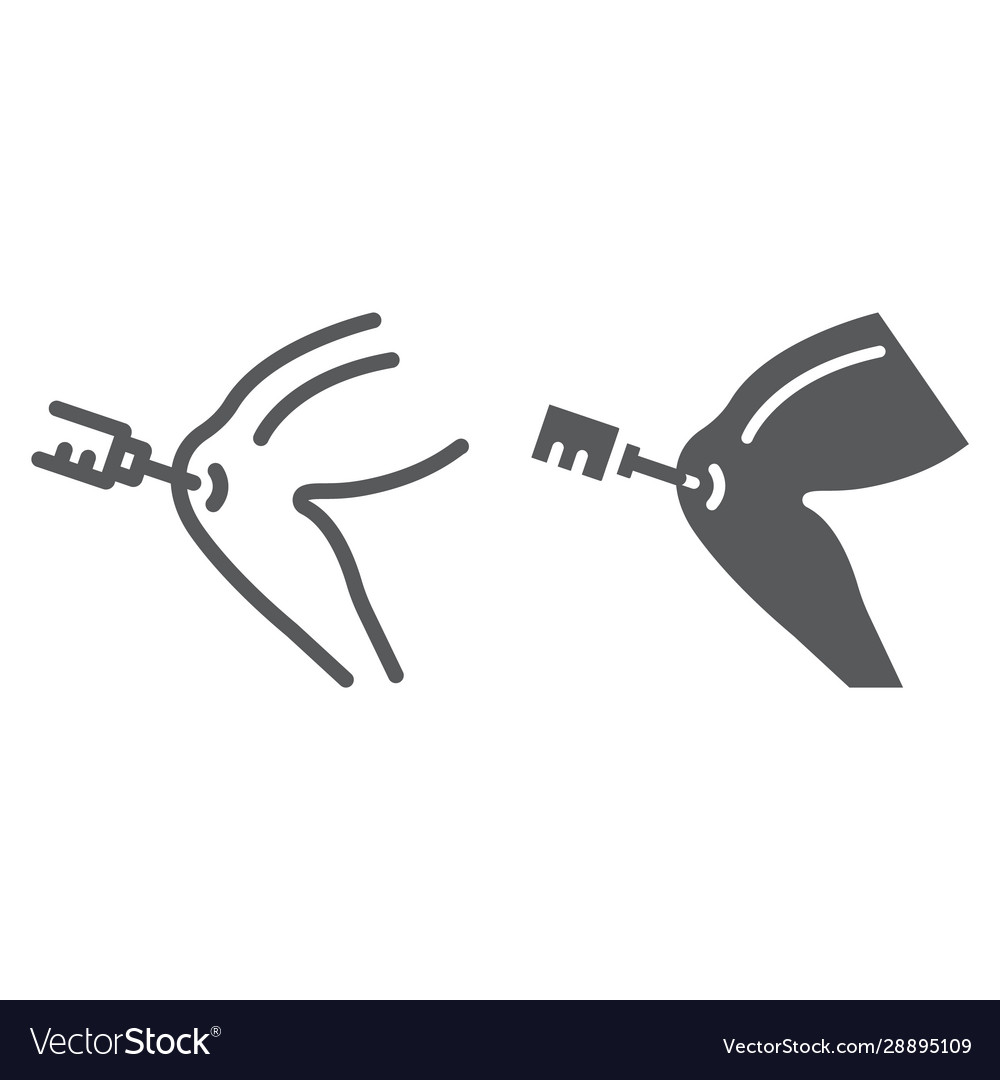 Knee injection line and glyph icon orthopedic vector image Knee injection line and glyph icon orthopedic