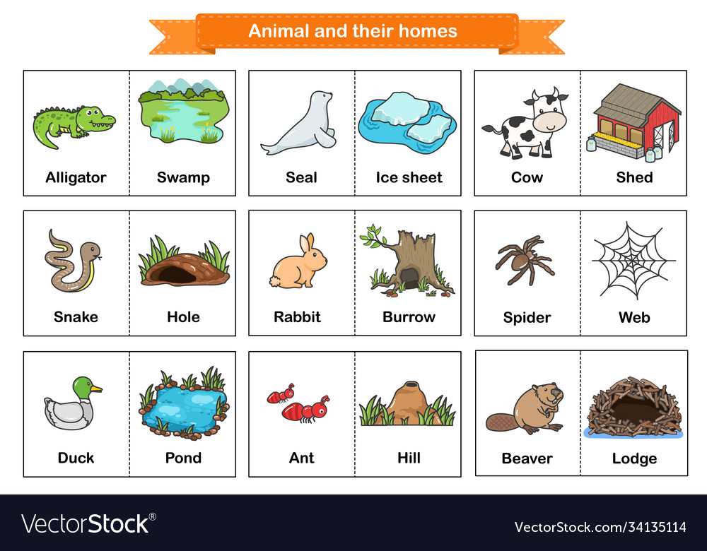 Match The Pictures Of Animal And Their Homes Flashcar Vrogue Co   Animal And Their Homes Flash Cards Printable Vector 34135114 