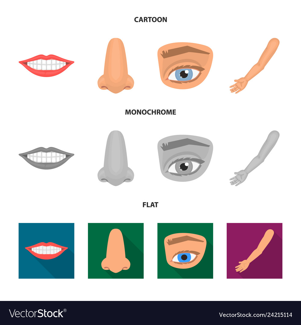 Isolated object of body and part icon set vector image Isolated object of body and part icon set