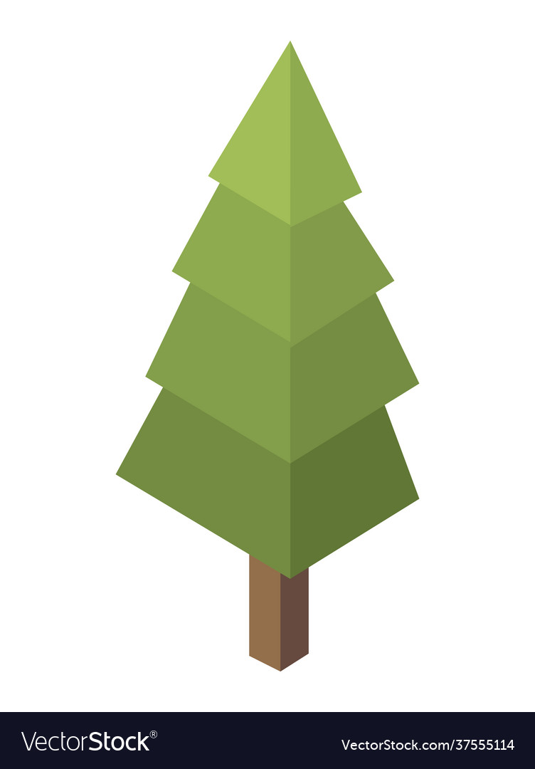 Pine tree isometric Royalty Free Vector Image - VectorStock