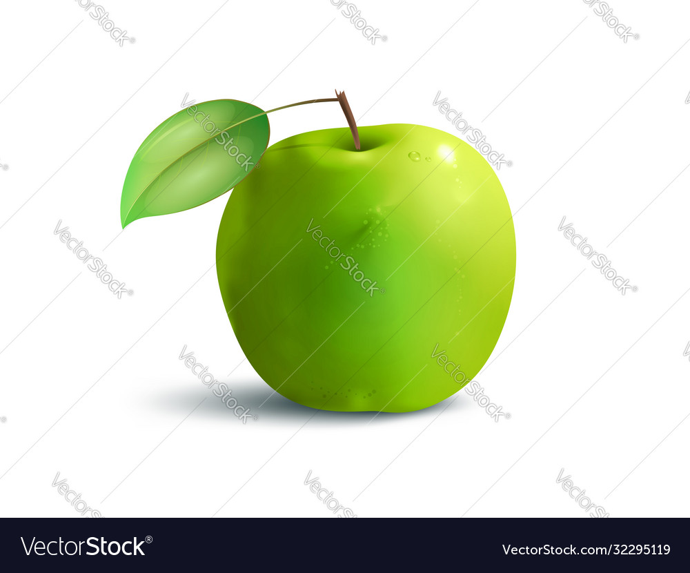 Apple green Royalty Free Vector Image - VectorStock
