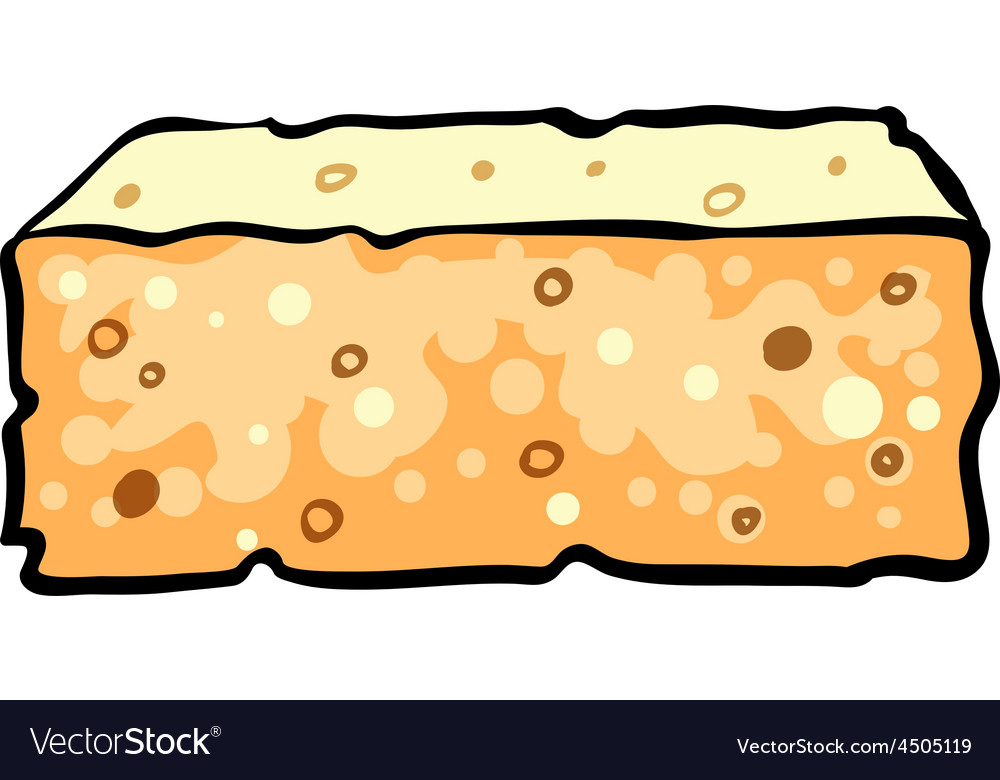 Sponge Royalty Free Vector Image - VectorStock