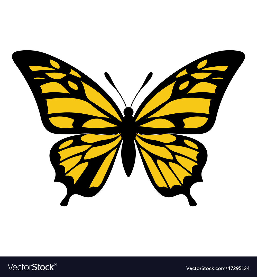 Butterfly with yellow wings isolated on white Vector Image