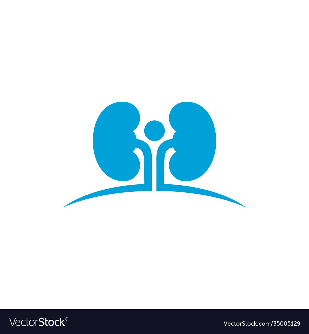 Kidney Royalty Free Vector Image - VectorStock