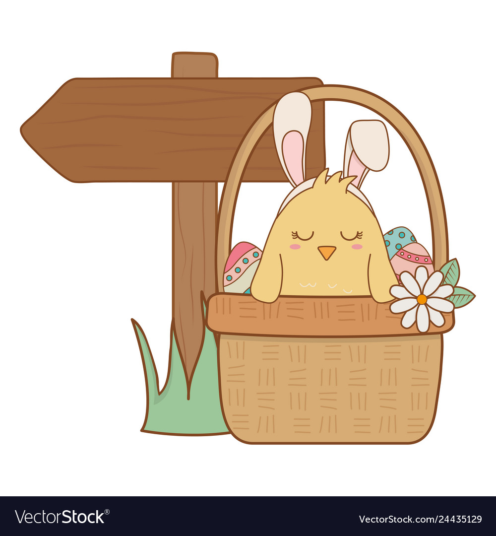 Little chick with ears rabbit in floral basket