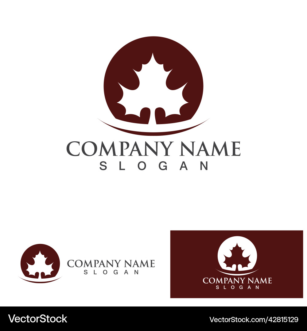 Maple leaf Royalty Free Vector Image - VectorStock