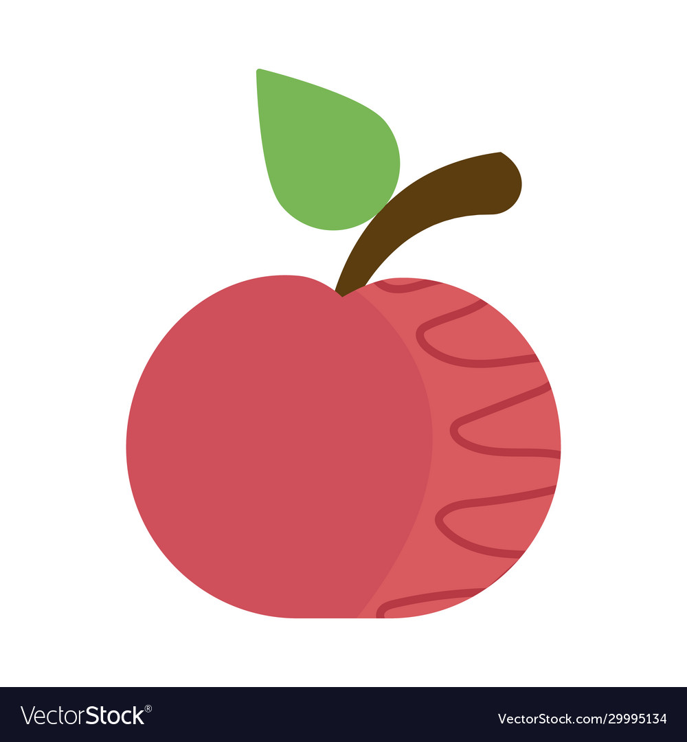 Fresh and delicious apple on white background Vector Image