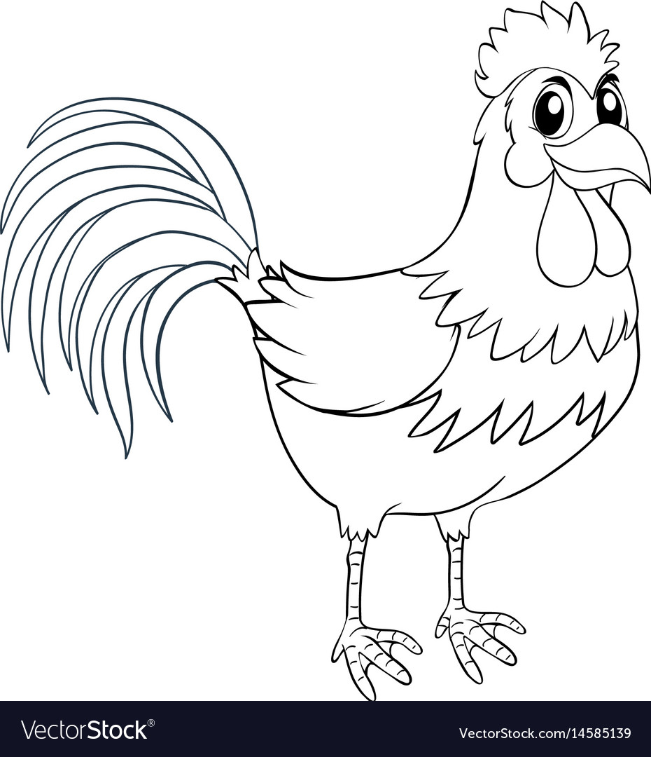 Download Animal outline for chicken Royalty Free Vector Image