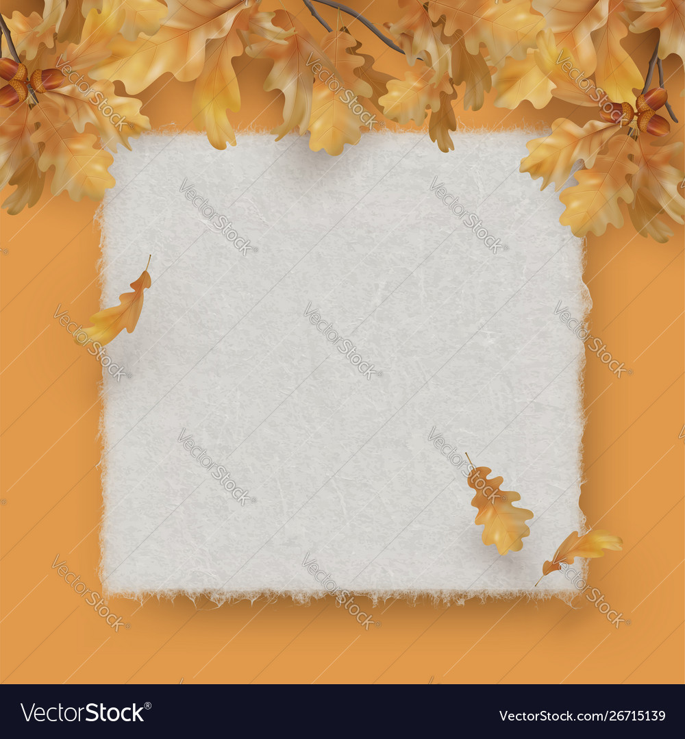 Autumn background with oak leaves