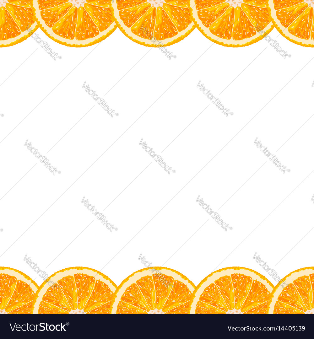 Orange Slice Border - Citrus Pattern