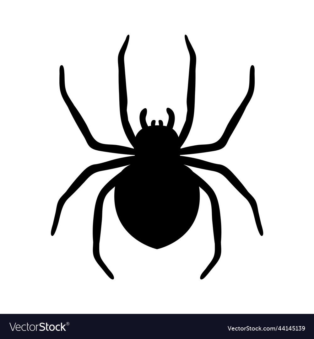 Silhouette of a spider hanging from web Royalty Free Vector