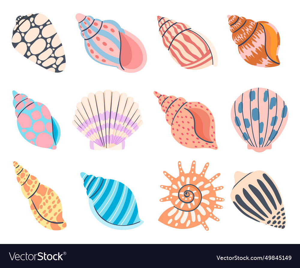 Colorful underwater conches of mollusk and sea