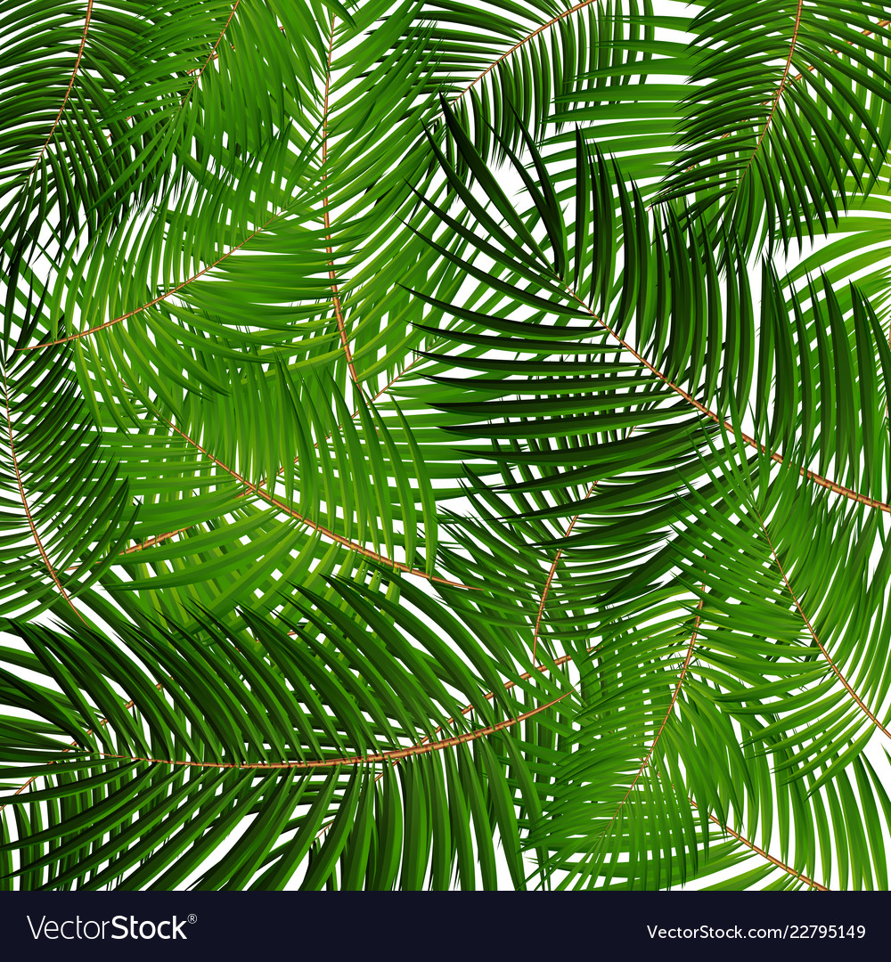 Palm leaf seamless pattern background