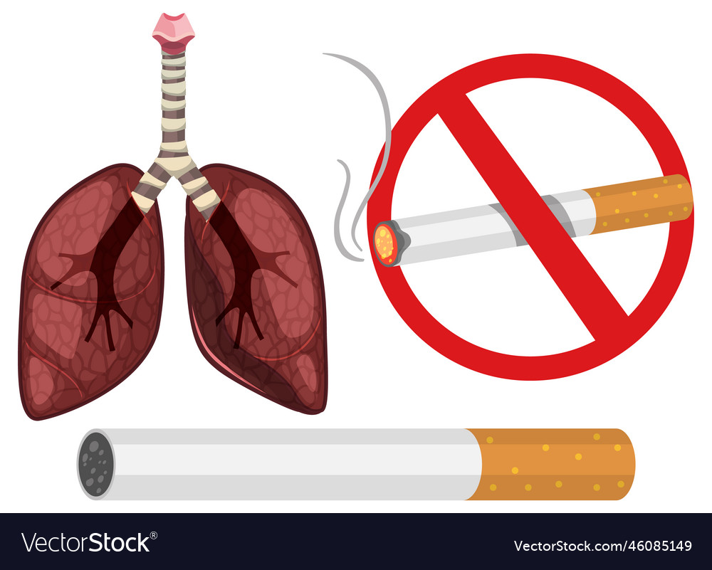 Set of stop smoking using for sign and icon Vector Image