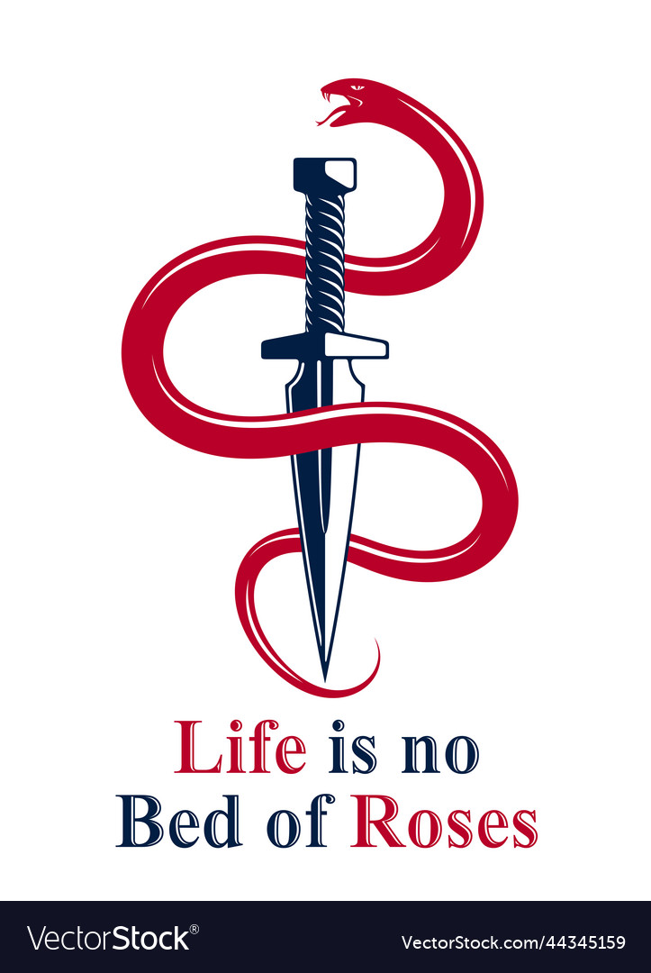 Dagger kills a snake defeated serpent wraps vector image Dagger kills a snake defeated serpent wraps