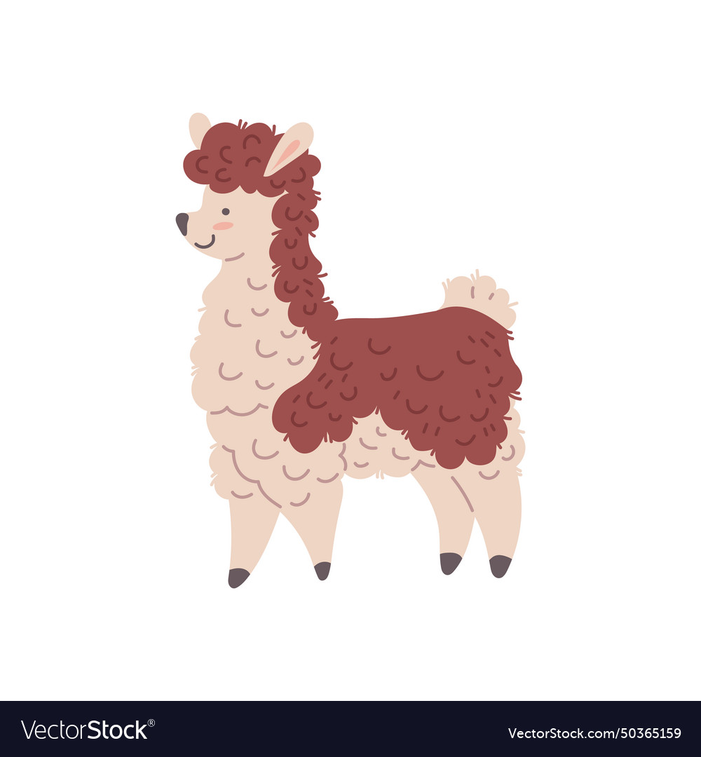 Llama cartoon alpaca lama animal with two tone Vector Image