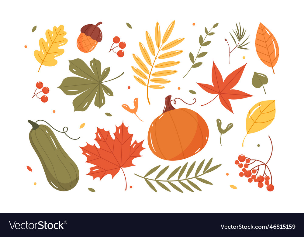 Set of autumn elements Royalty Free Vector Image