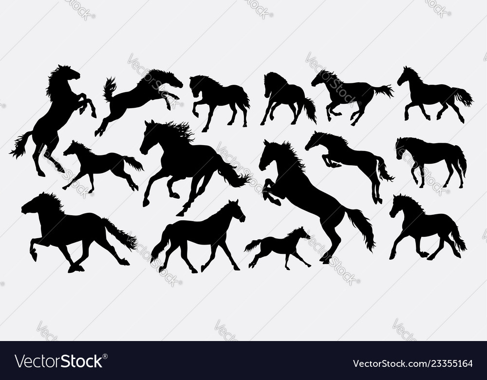 Horse silhouette vector image Horse silhouette