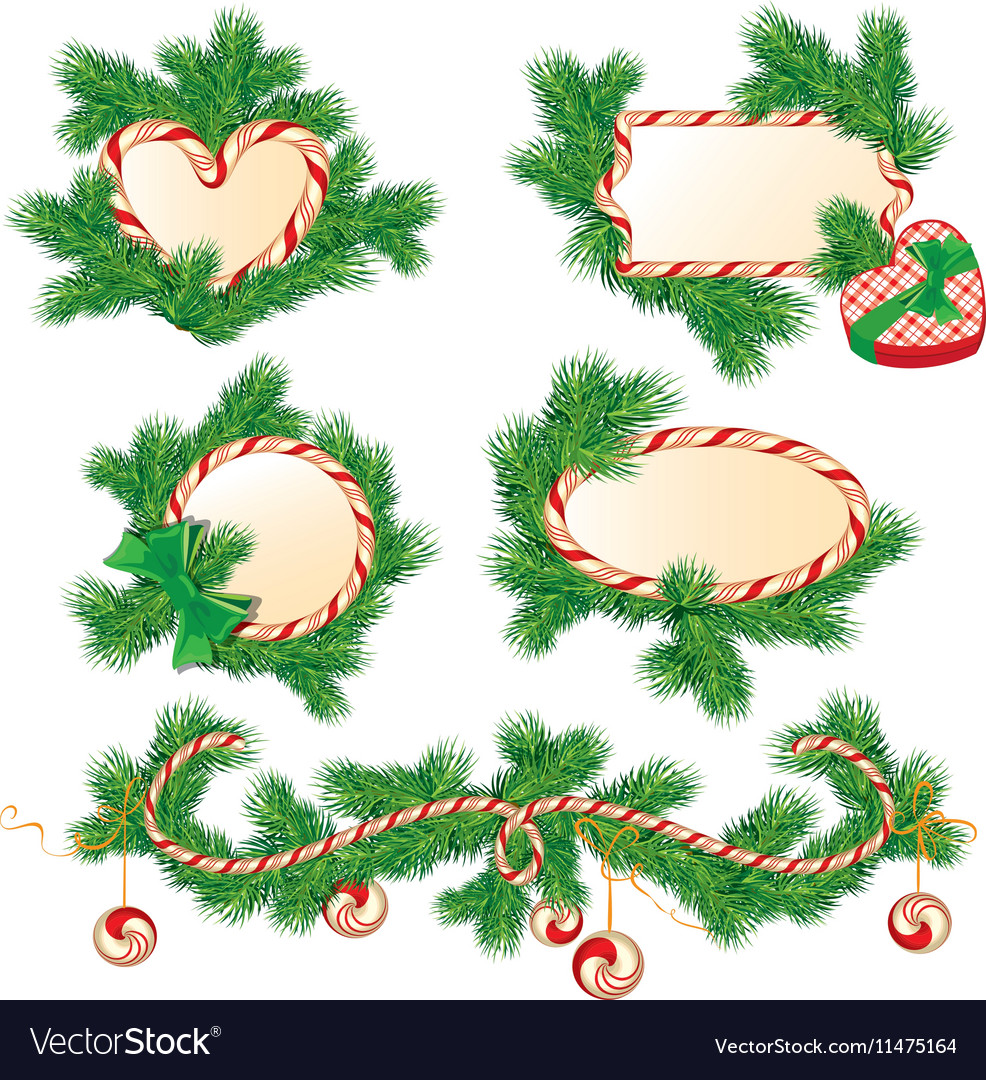 Set of fir-tree branches candy frames and borders