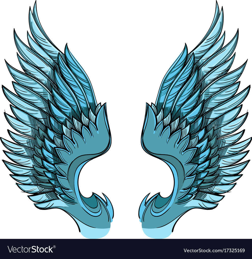 Blue wings isolated on white background design