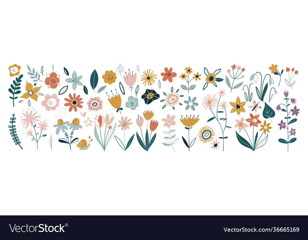 Flower collection with leaves floral bouquets Vector Image