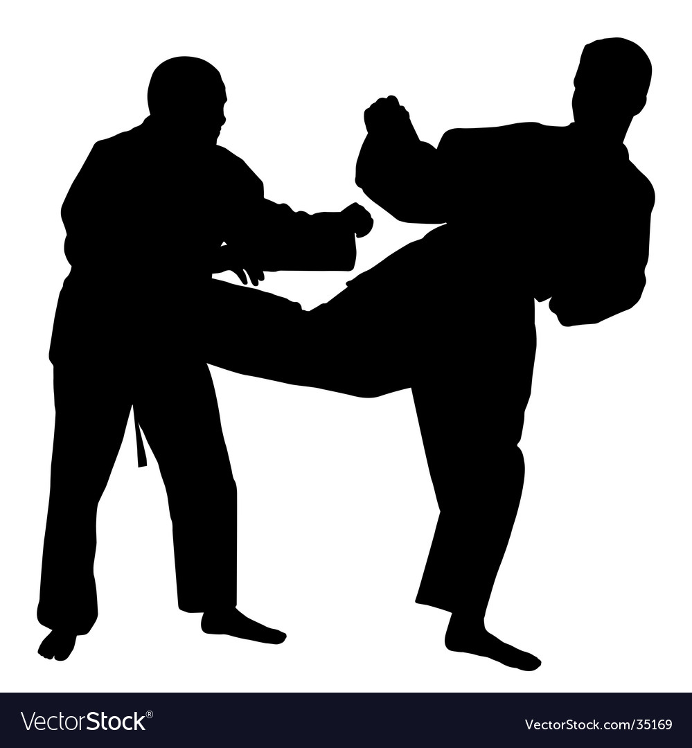 karate fight royalty free vector image vectorstock