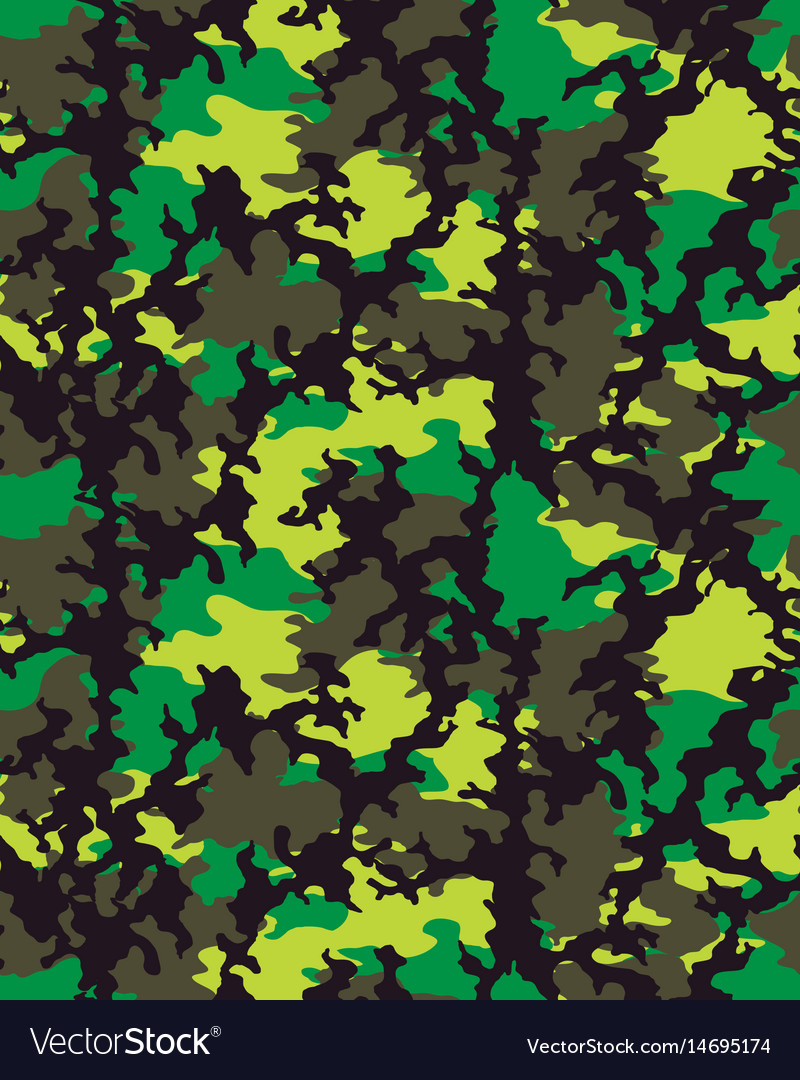 Fashionable camouflage pattern Royalty Free Vector Image