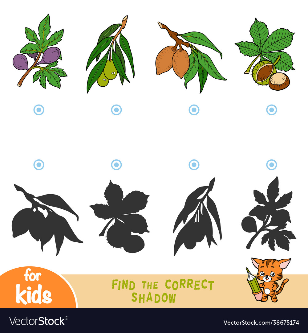Find correct shadow game for children set