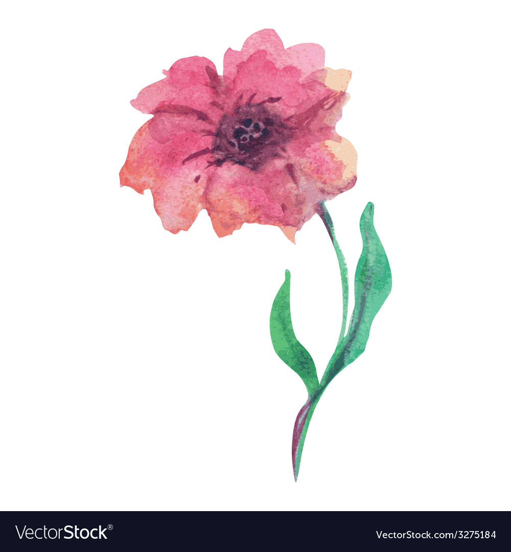 Download Watercolor flower Royalty Free Vector Image - VectorStock