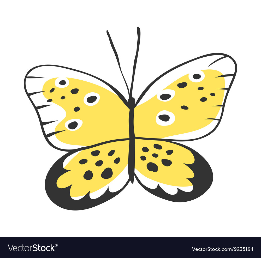 Isolated butterfly Hand drawn Royalty Free Vector Image