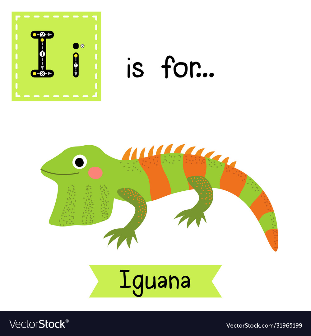 Letter i tracing iguana Royalty Free Vector Image