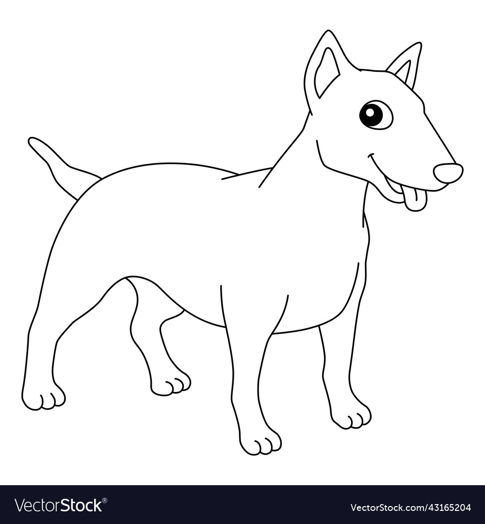 American pit bull terrier dog isolated coloring