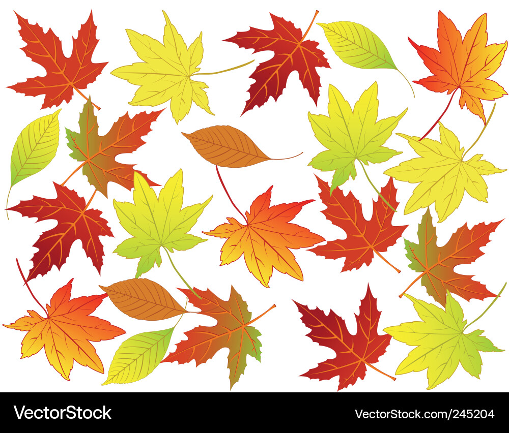 Autumn leaf background Royalty Free Vector Image