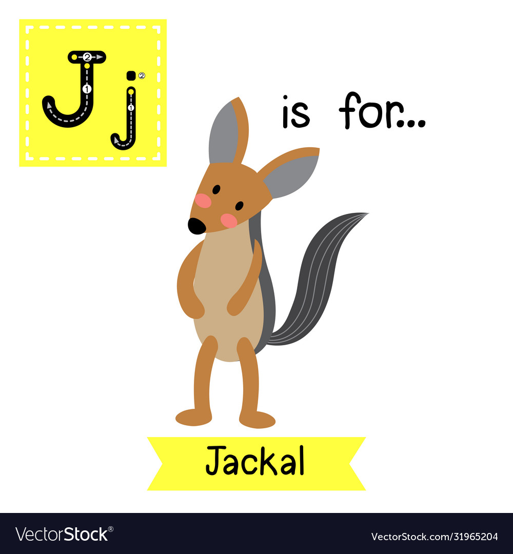 Letter j tracing jackal animal standing on two vector image Letter j tracing jackal animal standing on two