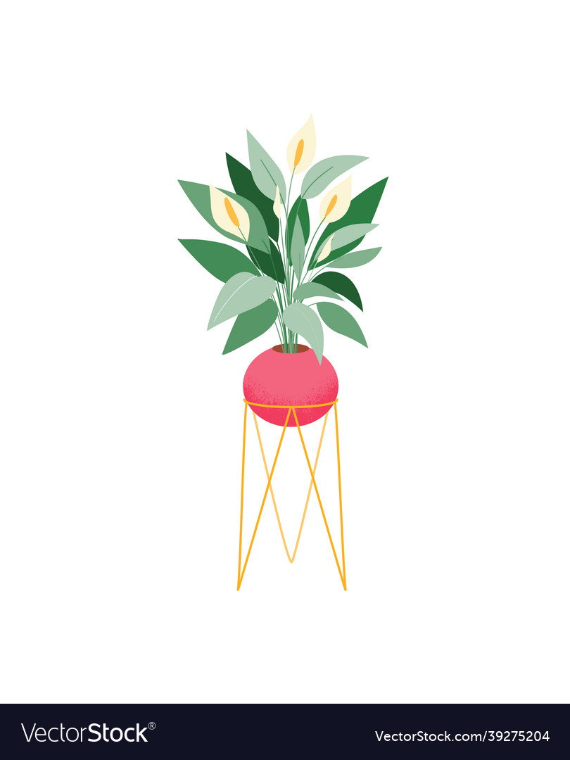 Potted house plant icon spathiphyllum