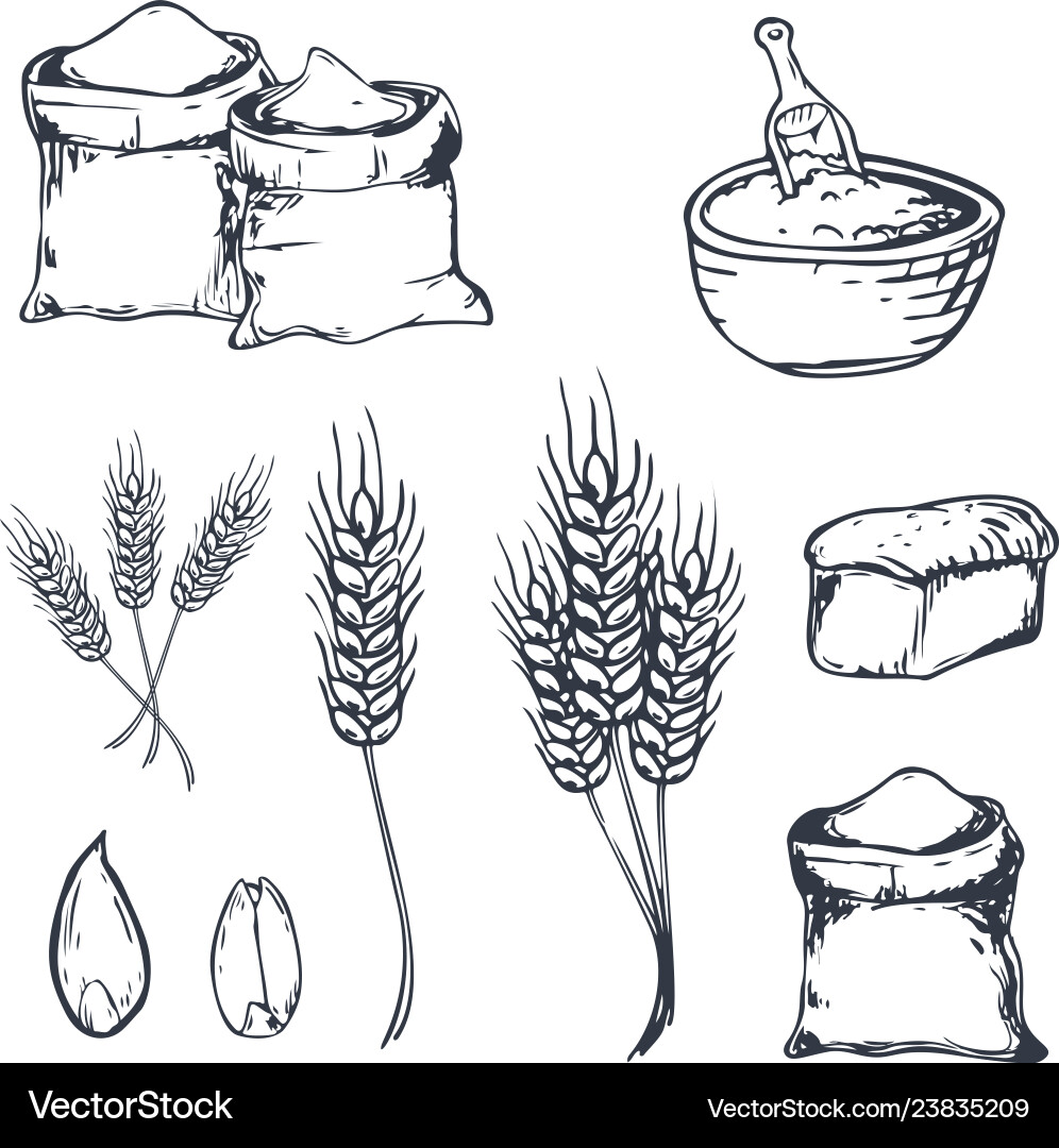 Bread hand drawn set with wheats Royalty Free Vector Image