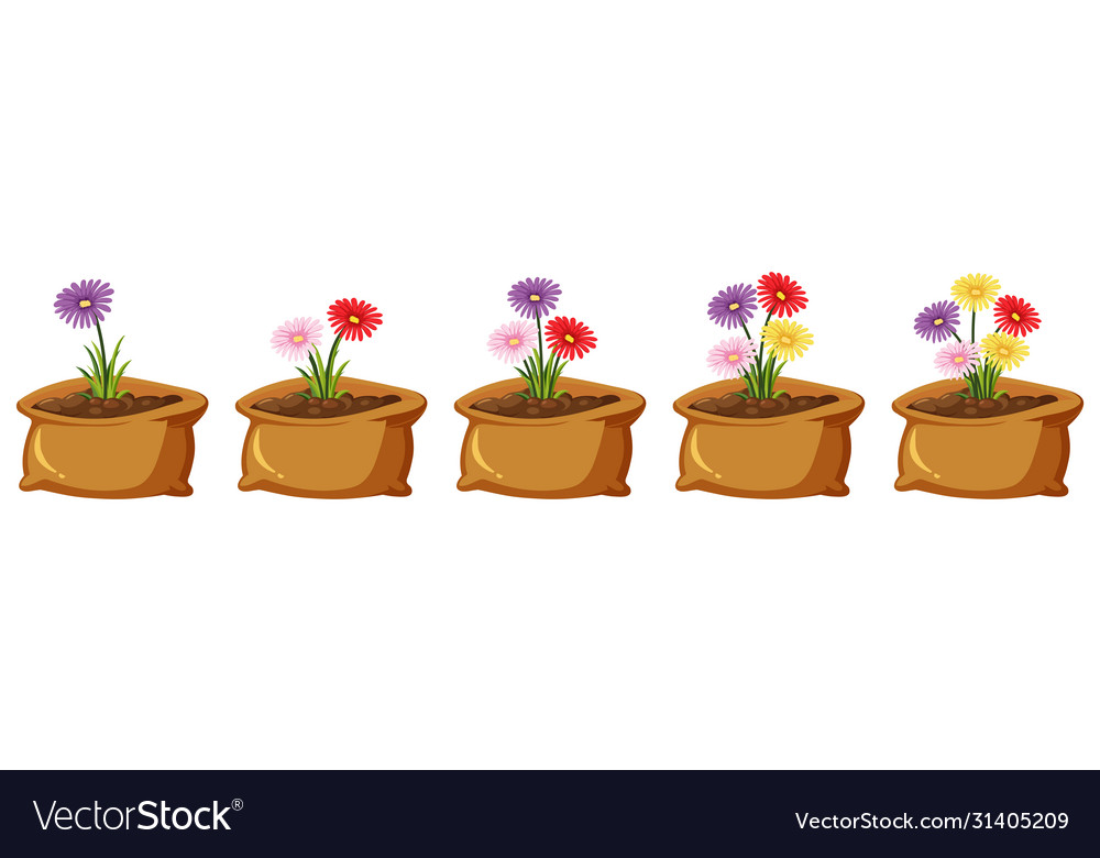 Colorful flowers in brown bags on white background